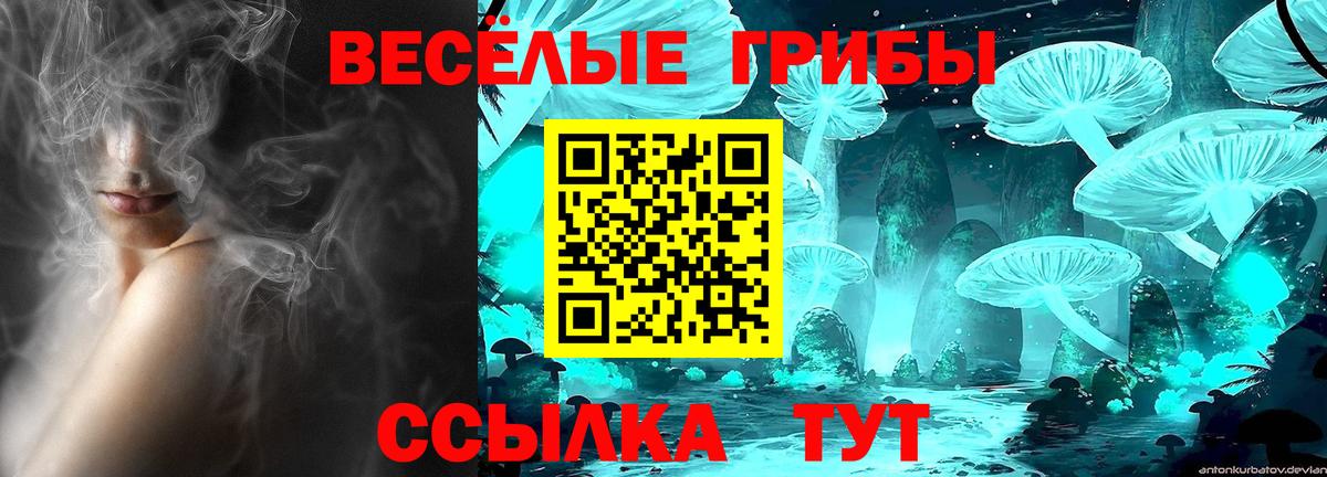 Псилоцибиновые грибы Psilocybe  Вход с VPN  Волхов 