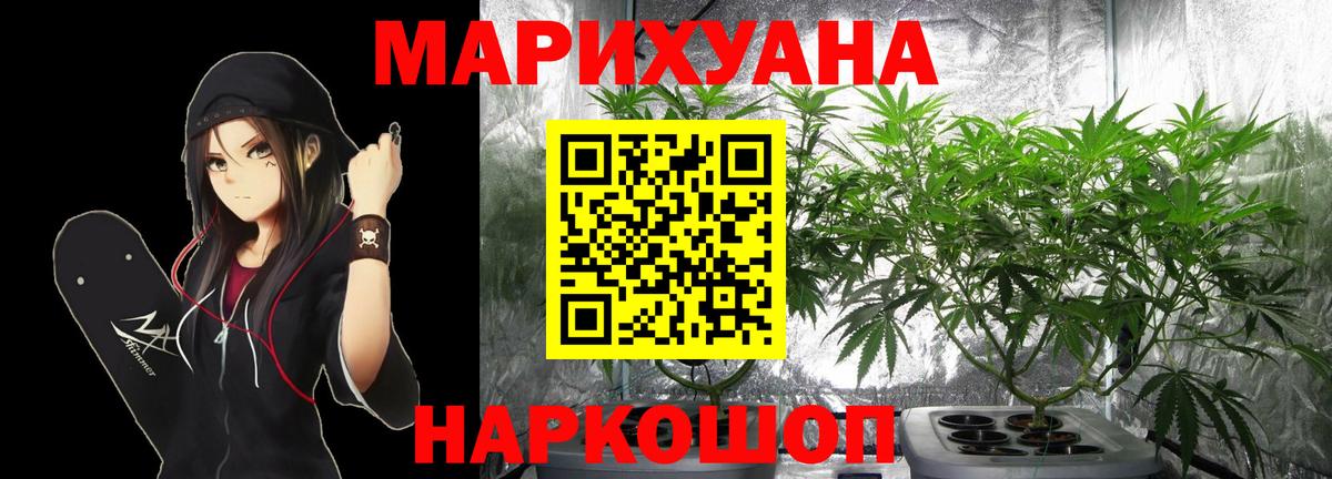Марихуана семена  Марихуана сатива  Вход с VPN  Волхов  Бошки марихуана Amnesia 